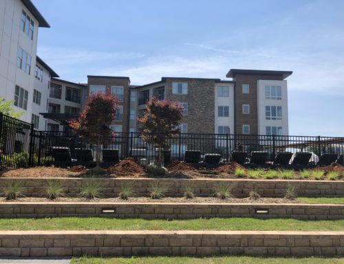 Landscape One Project