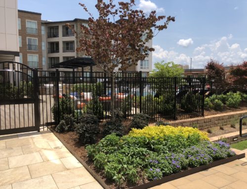 Landscape One Project 2