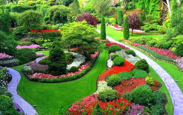 Landscaping Landscaping